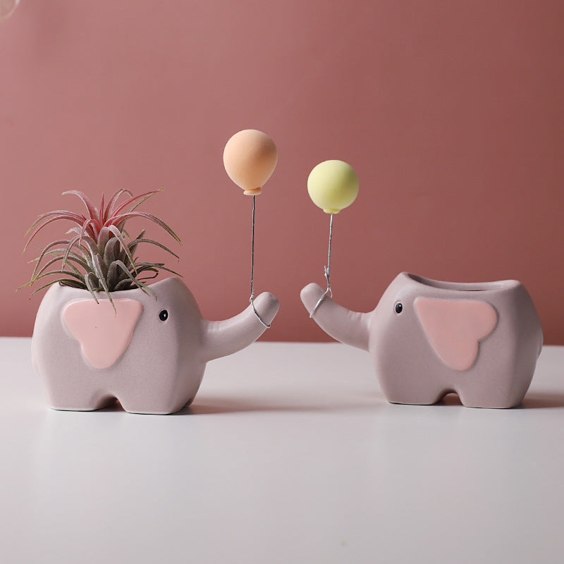 SUCCULENT CERAMIC FLOWER POTS